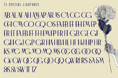 Chaman Elegant font