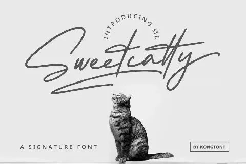 Sweetcatty font