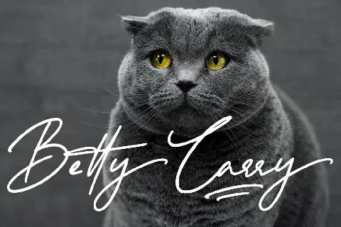 Sweetcatty font