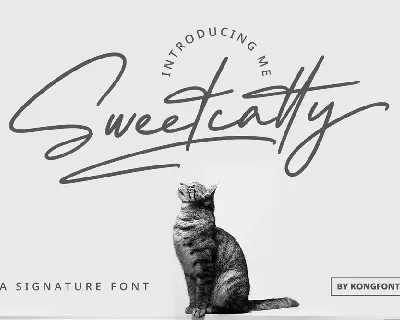 Sweetcatty font