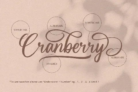 Cranberry font