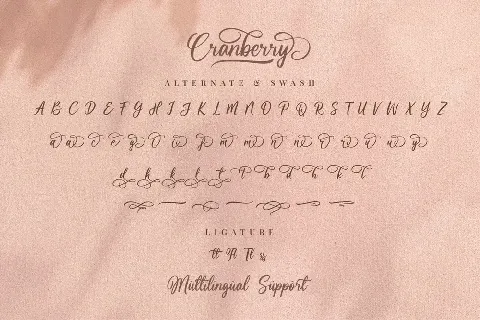 Cranberry font