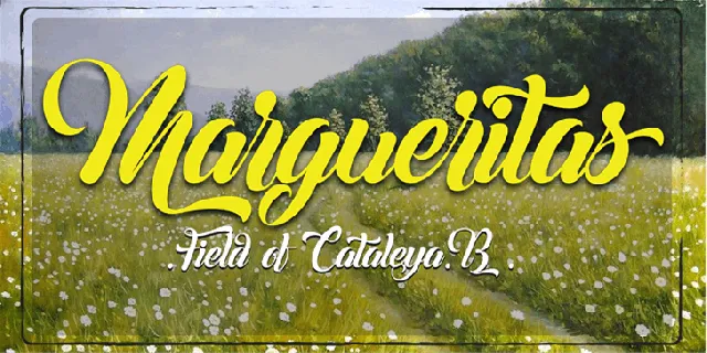 Margueritas font