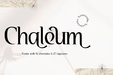 Chaleum font