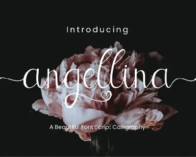 Angellina Calligraphy font