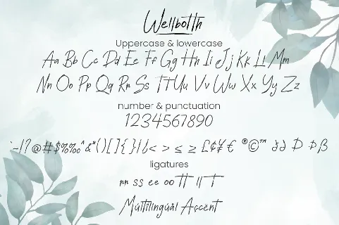 Wellbotth - Personal Use font