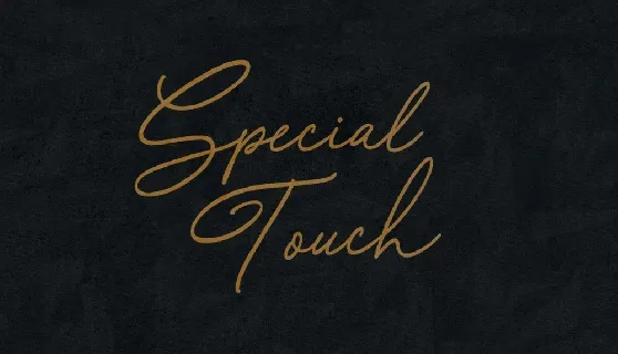 Special Touch Script Free font