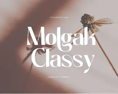 Molgak Classy font