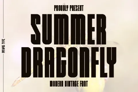 Summer Dragonfly font