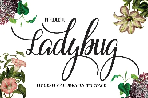 Ladybug Script Free font