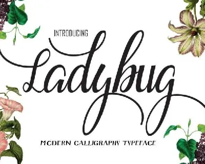 Ladybug Script Free font