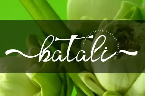 Batali Calligraphy font