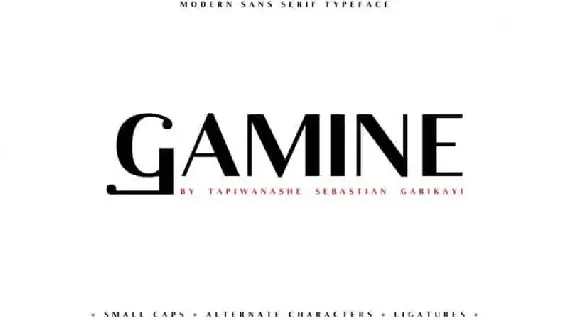 Gamine Sans Serif font