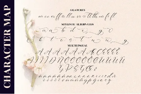 Sttevanie Barbara font