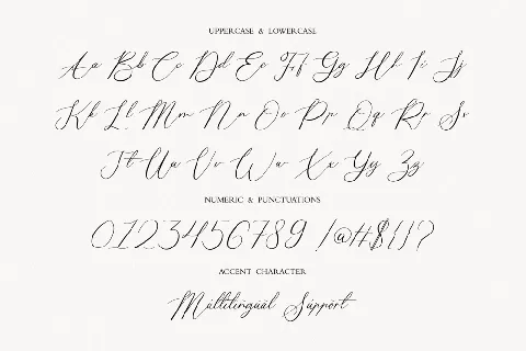 Calligrapher font