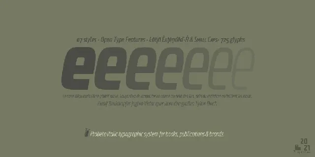 Probeta Sans Family font