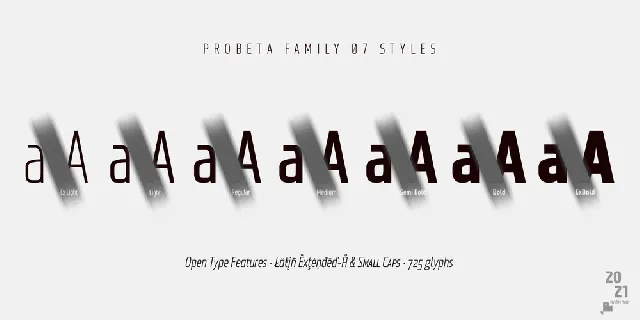 Probeta Sans Family font