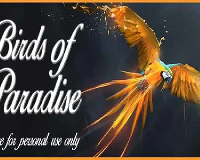 Birds of Paradise Free Download font