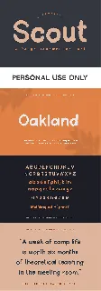 Scout font