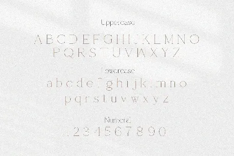 Shoogie font