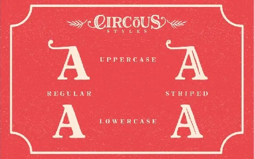 The Circous Typeface font