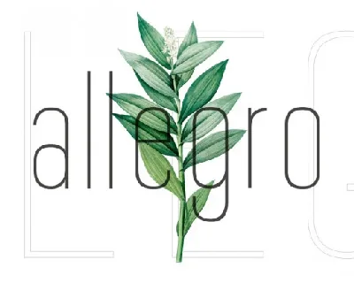 Allegro Sans Serif font