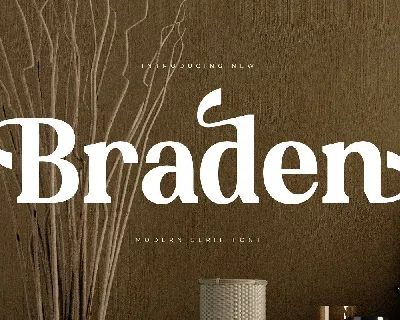 Braden font