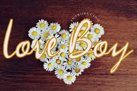 Love Boy font