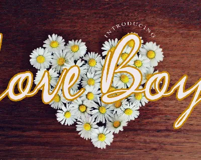 Love Boy font