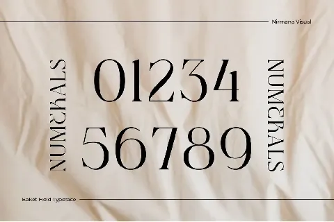 Baket Fashion - Demo Version font