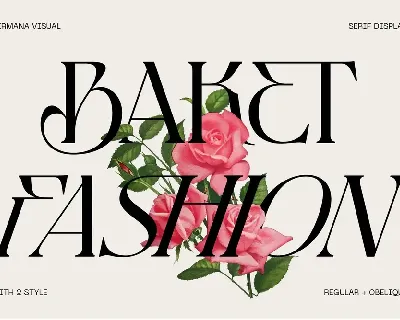 Baket Fashion - Demo Version font