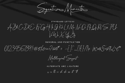 Signature Moments font