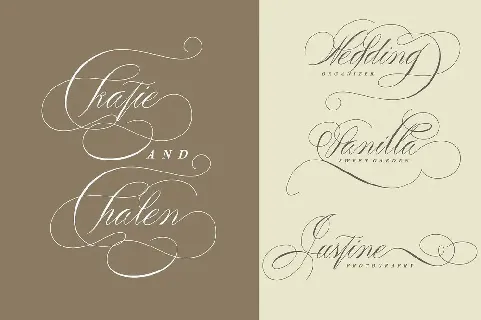 Peaches Calligraphic font