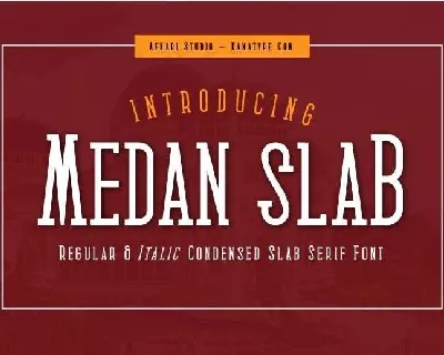 Medan Slab font