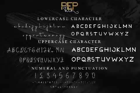 Pep Talk Demo font