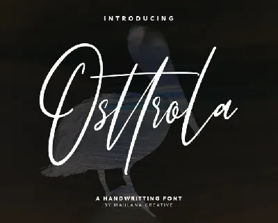 Osttrola Handwritting font