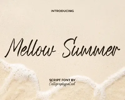 Mellow Summer Demo font