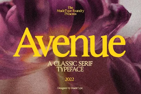 Avenue font