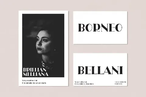 Rollina Serif font