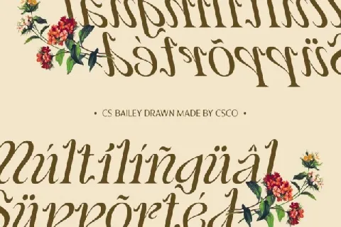 CS Bailey Drawn font