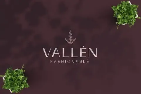 VallÃ¨n Sans Serif font