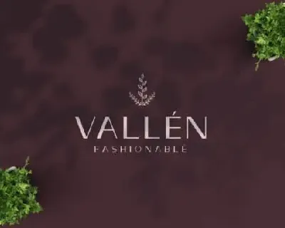 VallÃ¨n Sans Serif font