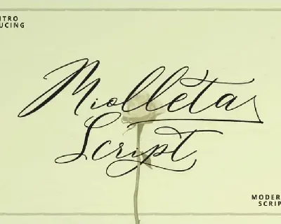 Miolleta Calligraphy font