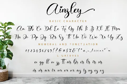 Ainsley font