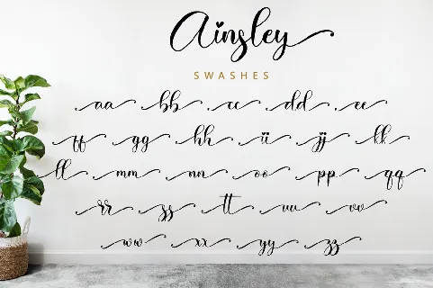 Ainsley font