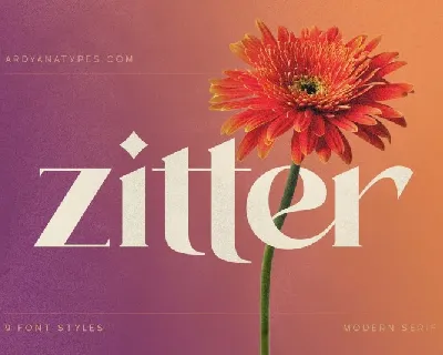 Zitter font