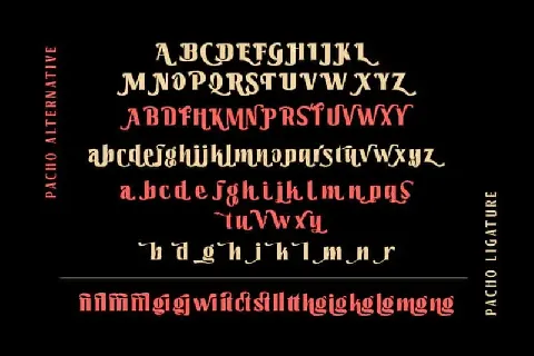 Pacho – Serif Family font