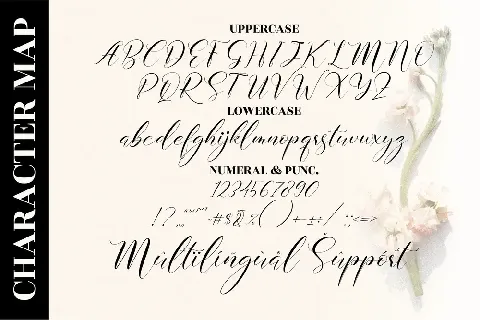 Delmore font