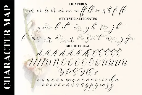 Delmore font