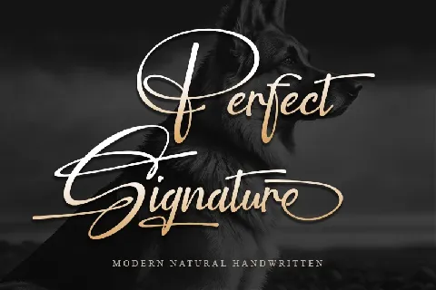 Perfect Signature - Personal us font